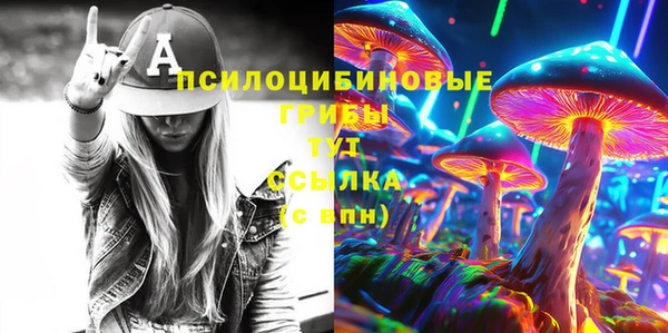 прущие крисы Беломорск