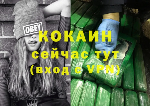 соль курить ск Белокуриха