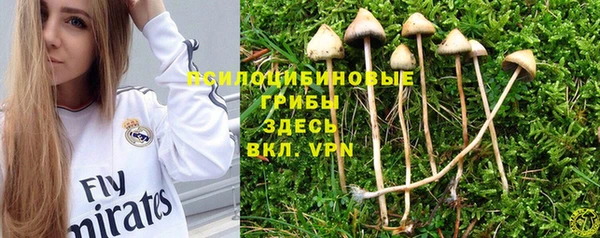 гидра Россошь