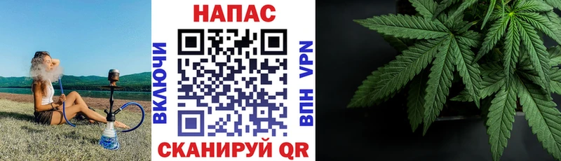 Каннабис Amnesia  Куса 